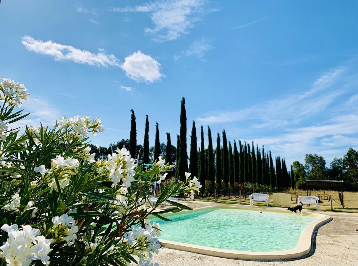 Casa In Maremma Tuscany Village 斯卡尔利诺 外观 照片