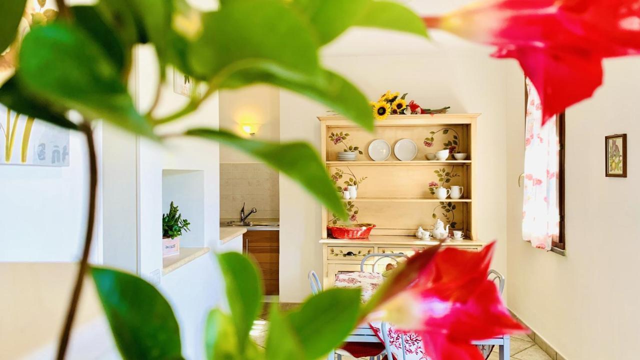 Casa In Maremma Tuscany Village 斯卡尔利诺 外观 照片