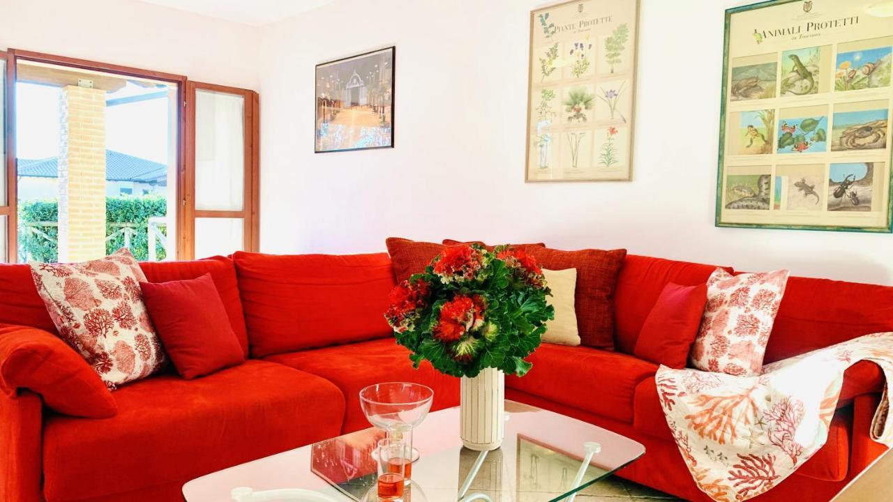 Casa In Maremma Tuscany Village 斯卡尔利诺 外观 照片