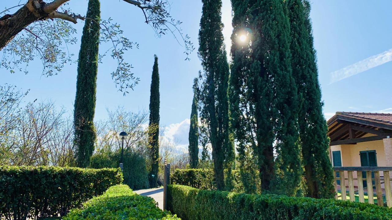 Casa In Maremma Tuscany Village 斯卡尔利诺 外观 照片
