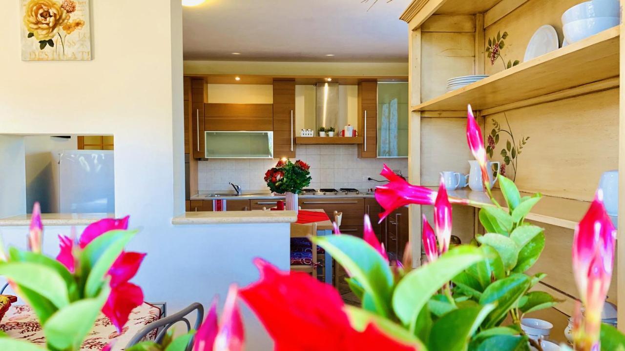 Casa In Maremma Tuscany Village 斯卡尔利诺 外观 照片
