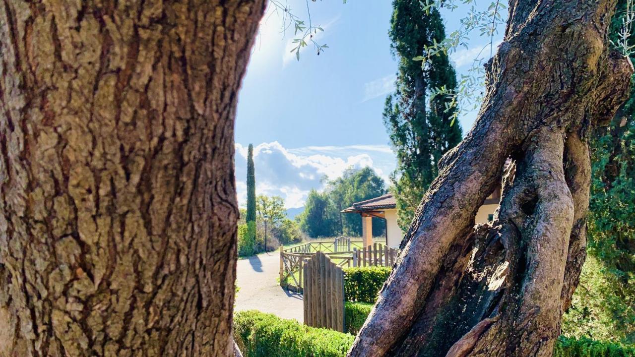 Casa In Maremma Tuscany Village 斯卡尔利诺 外观 照片
