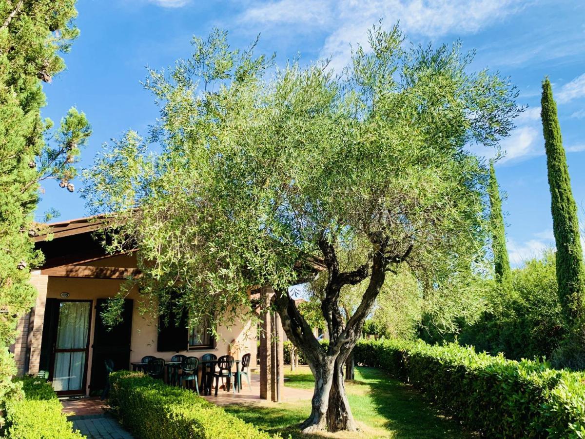 Casa In Maremma Tuscany Village 斯卡尔利诺 外观 照片
