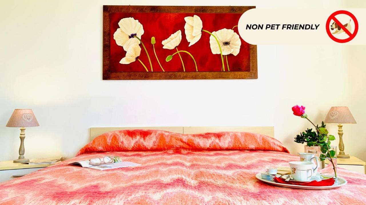 Casa In Maremma Tuscany Village 斯卡尔利诺 外观 照片