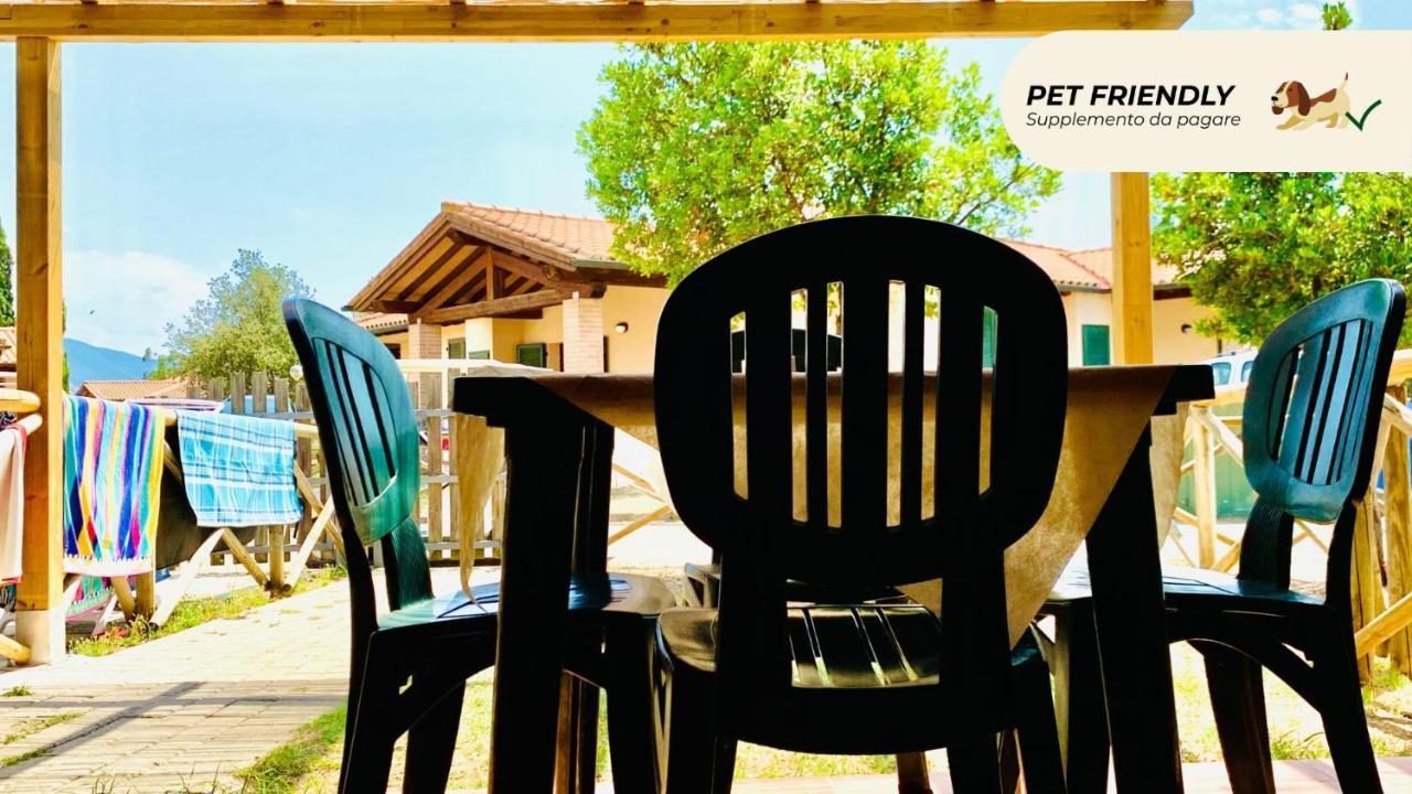 Casa In Maremma Tuscany Village 斯卡尔利诺 外观 照片
