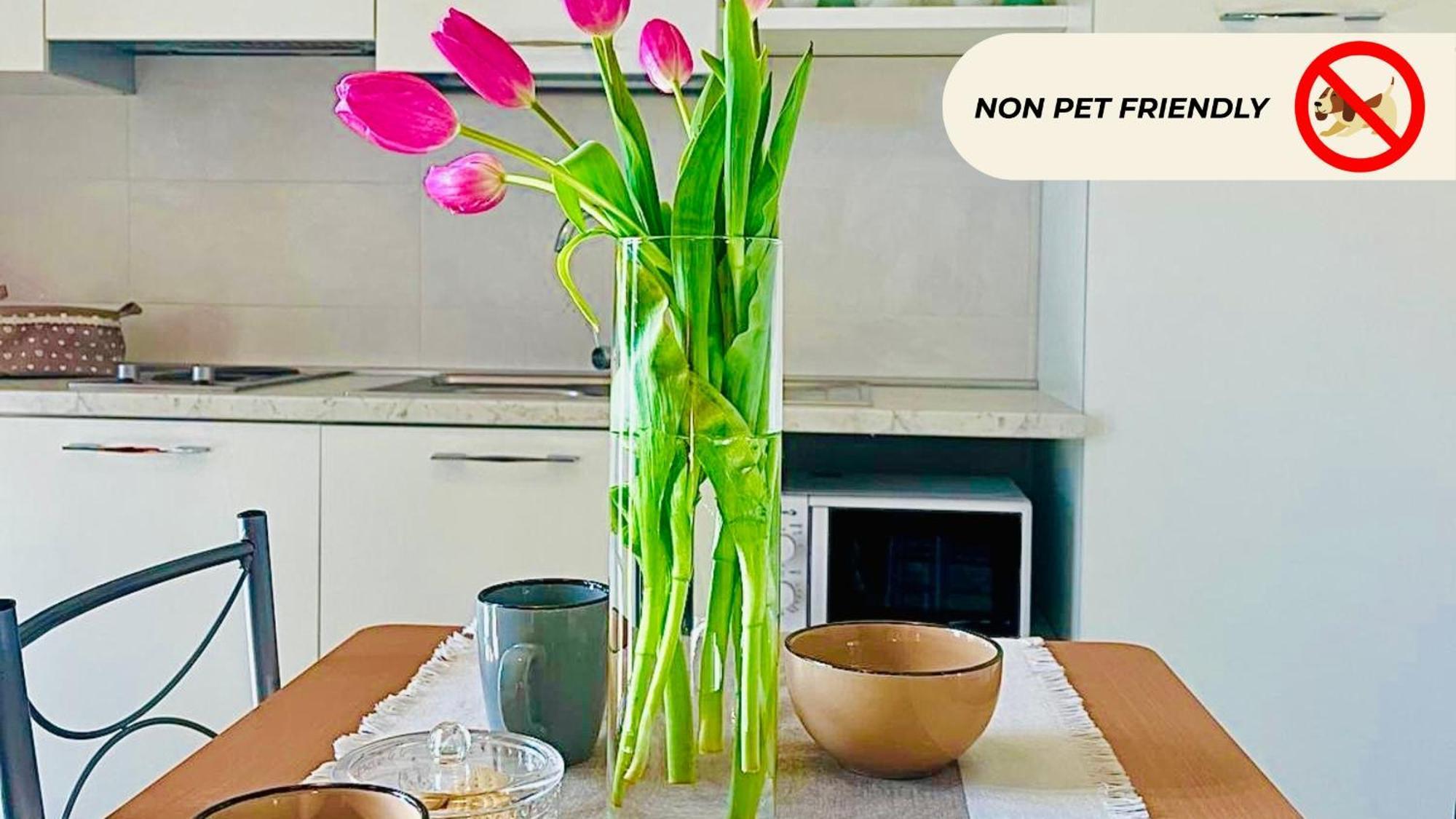 Casa In Maremma Tuscany Village 斯卡尔利诺 外观 照片