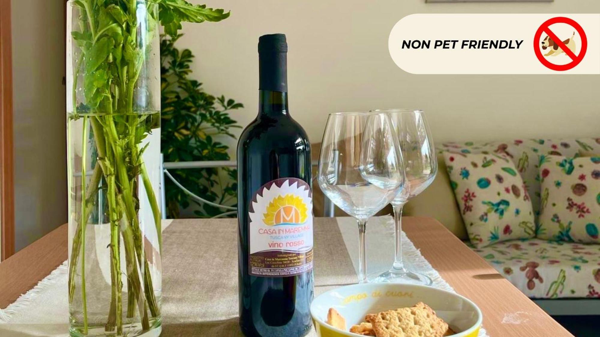 Casa In Maremma Tuscany Village 斯卡尔利诺 外观 照片
